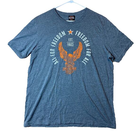 Harley Davidson San Diego CA T-Shirt Gray Graphic Eagle Logo Men’s XL - Picture 1 of 9